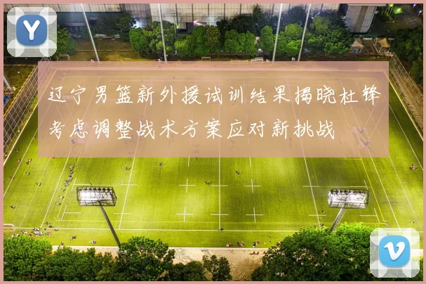 辽宁男篮新外援试训结果揭晓杜锋考虑调整战术方案应对新挑战