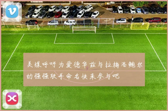 美媒呼吁为爱德华兹与拉梅洛鲍尔的强强联手命名快来参与吧