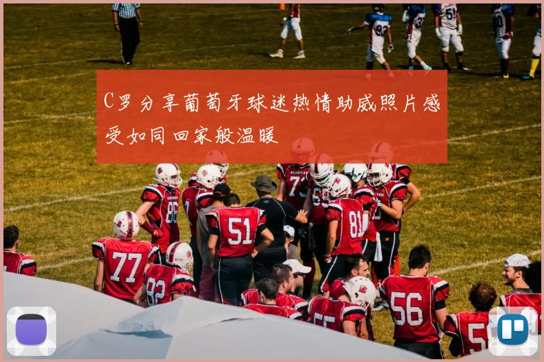 C罗分享葡萄牙球迷热情助威照片感受如同回家般温暖