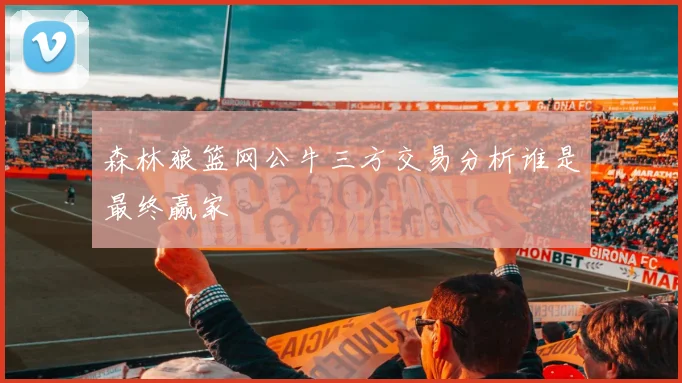 森林狼篮网公牛三方交易分析谁是最终赢家